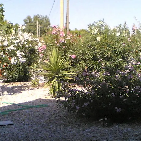 A Casa Di Aline * Punta Prosciutto